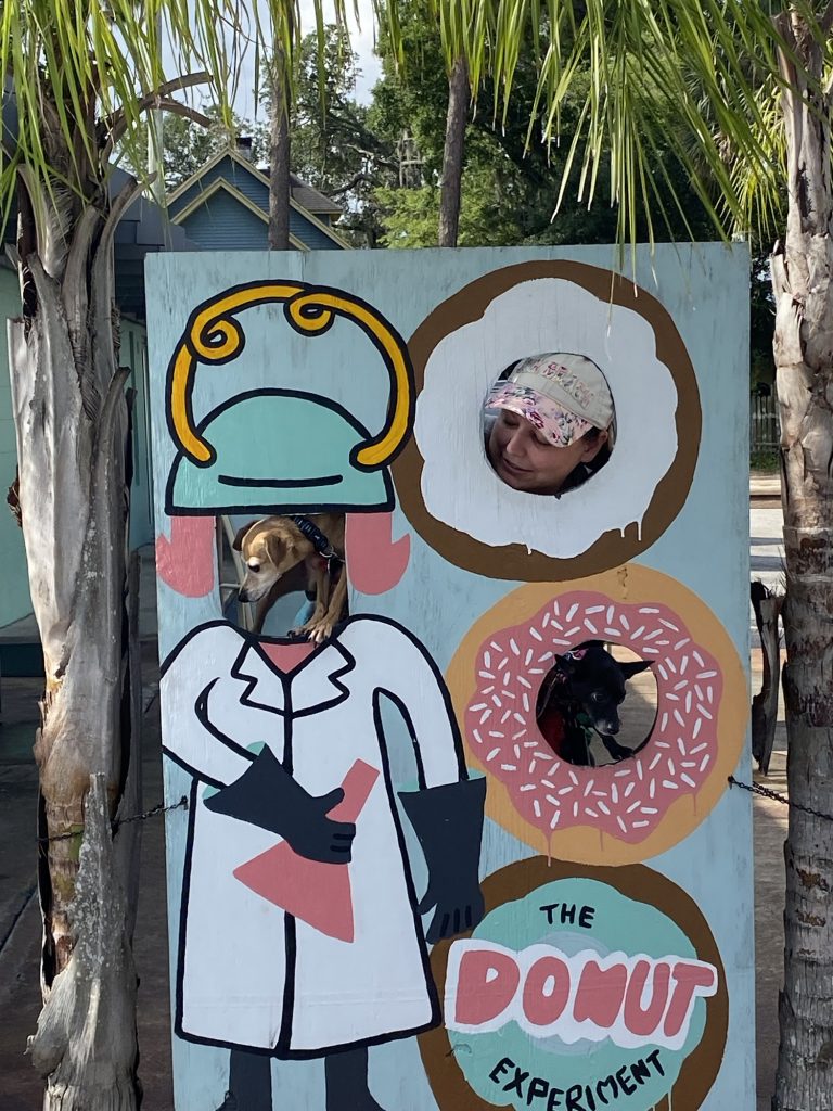 The Donut Expirement