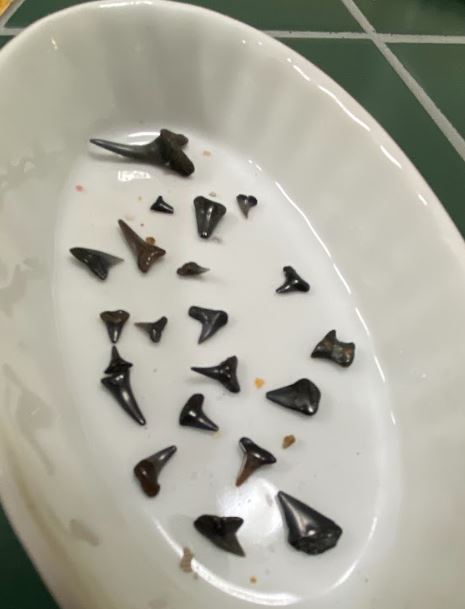 1df4a4_606b9bda04e84e9ea7271fa61673bd27~mv2